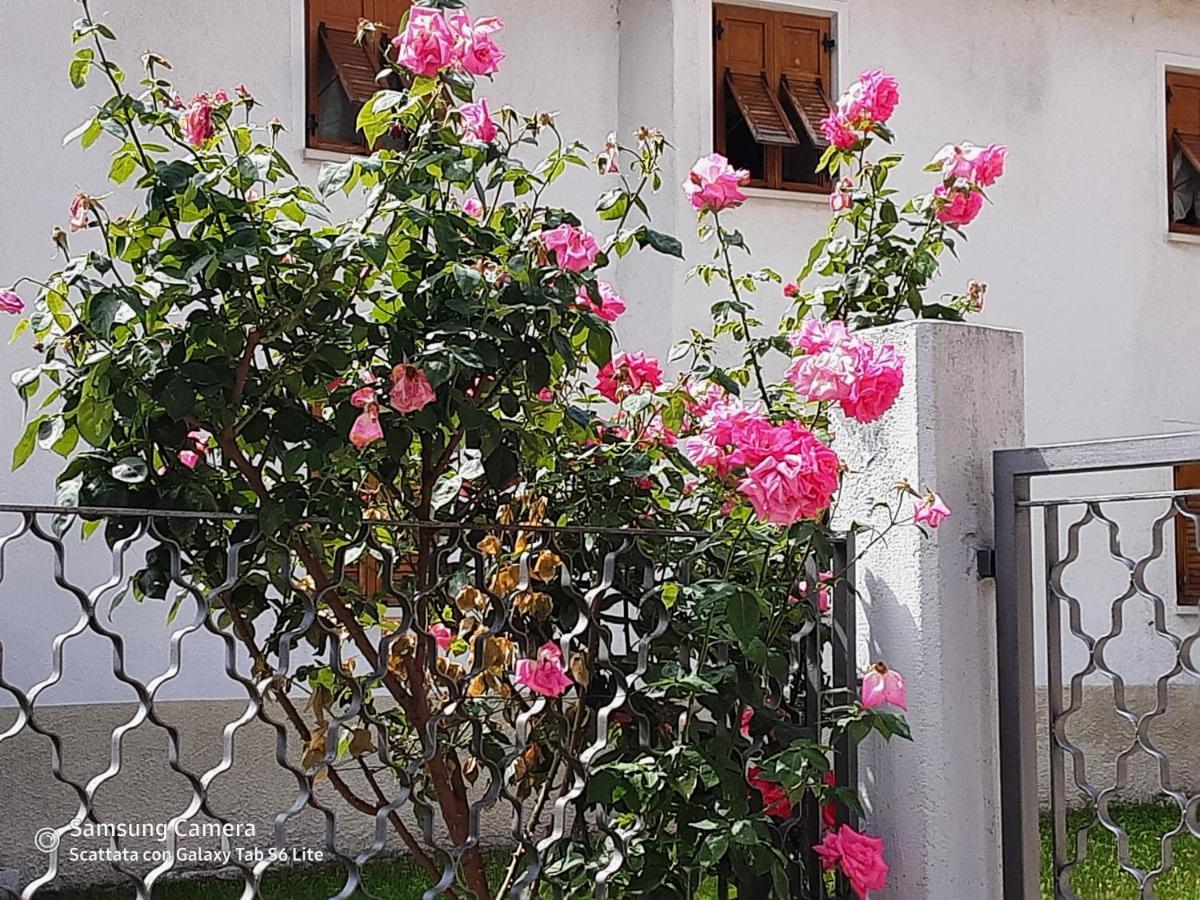 B&B Anna Rovere della Luna ภายนอก รูปภาพ
